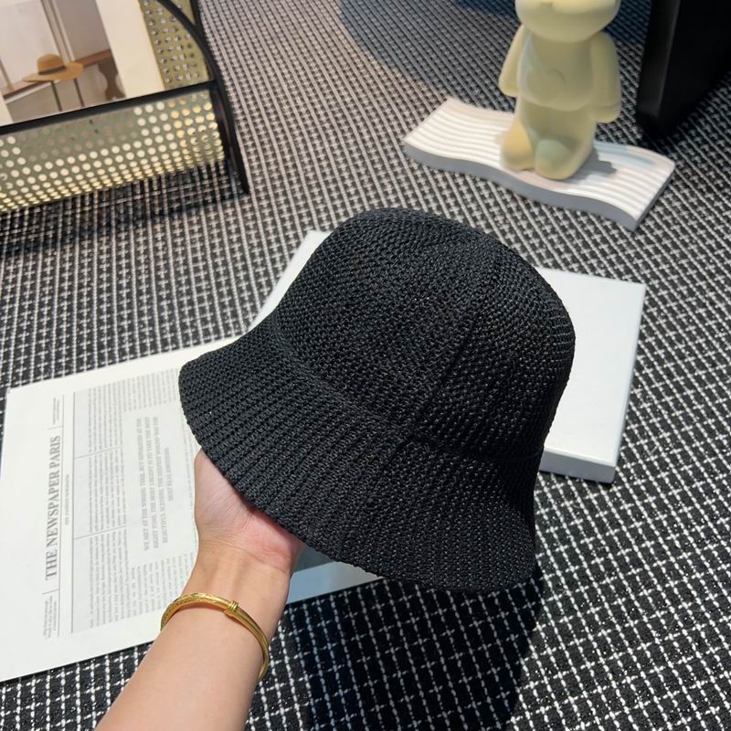 Celine hat (89)